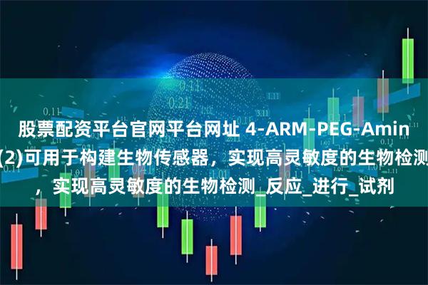 股票配资平台官网平台网址 4-ARM-PEG-Aminooxy(2)/Biotin(2)可用于构建生物传感器，实现高灵敏度的生物检测_反应_进行_试剂
