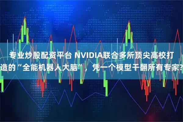 专业炒股配资平台 NVIDIA联合多所顶尖高校打造的“全能机器人大脑”，凭一个模型干翻所有专家?